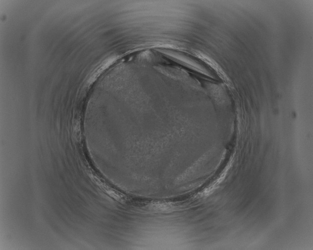 X0000073530977200608211825