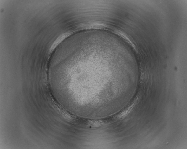 X0000073530978200608211825