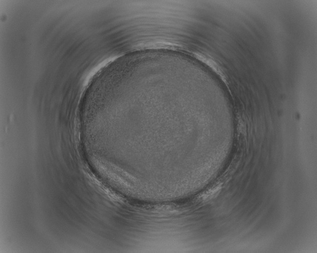 X0000073530979200608211825