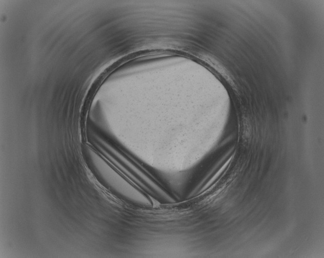 X0000073530980200608211825