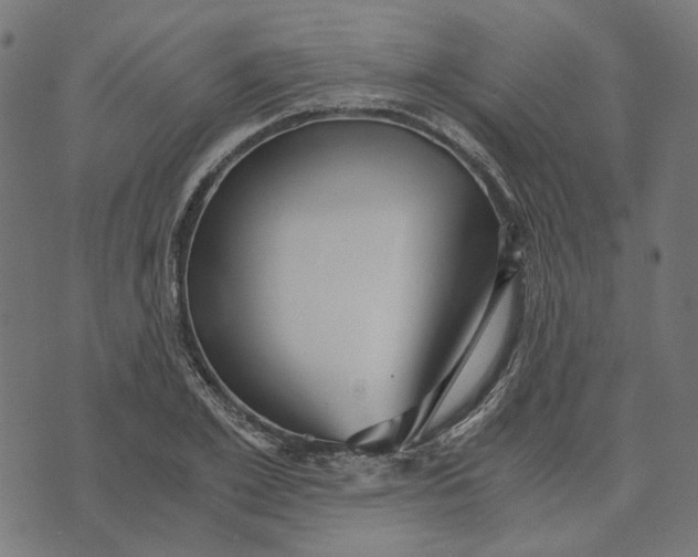 X0000073530981200608211825