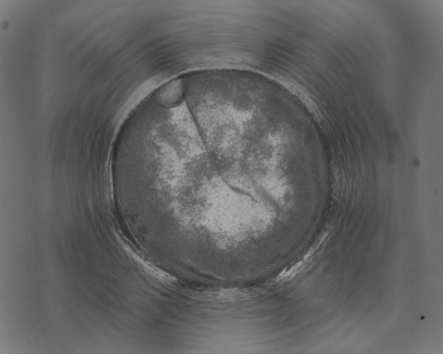 X0000073530982200608211825