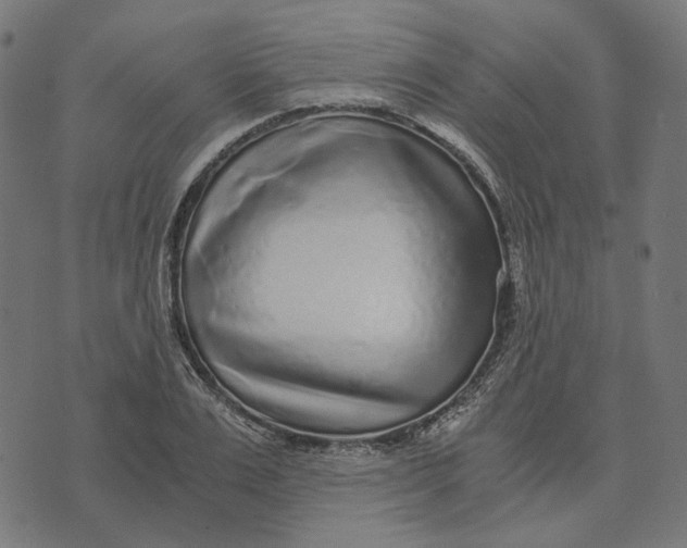 X0000073530983200608211825