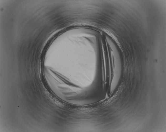 X0000073530984200608211825