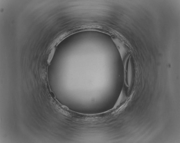 X0000073530985200608211825