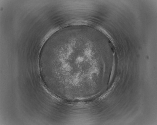 X0000073530986200608211825