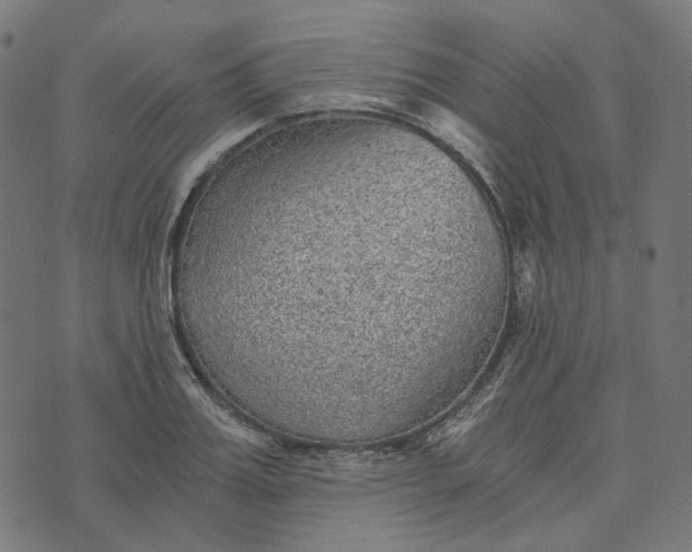 X0000073530987200608211825