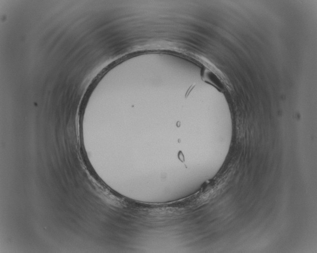 X0000073530988200608211825