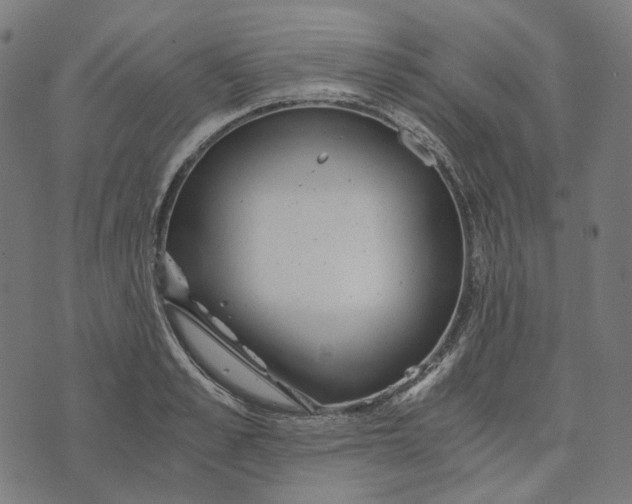 X0000073530989200608211825