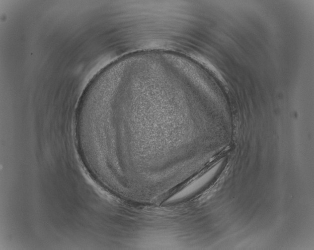 X0000073530991200608211825