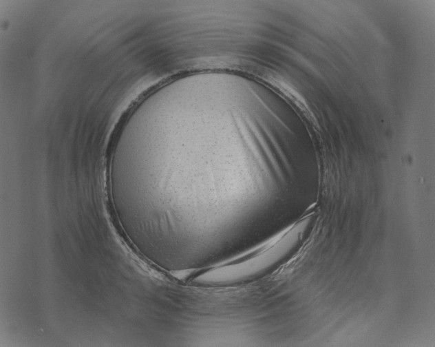 X0000073530992200608211825