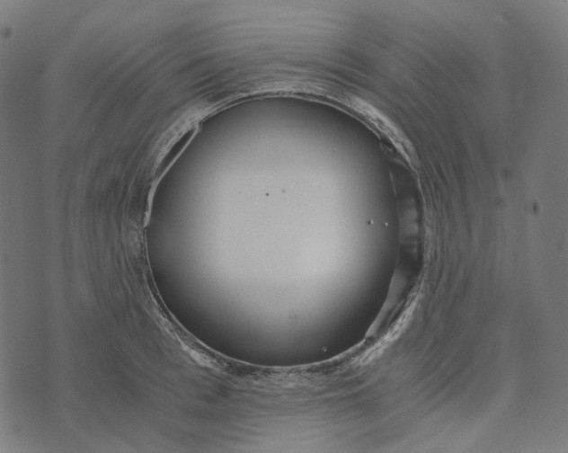 X0000073530993200608211825