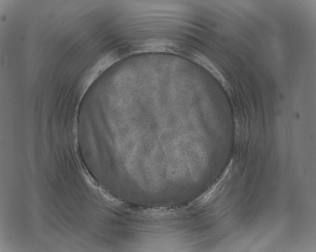 X0000073530994200608211825