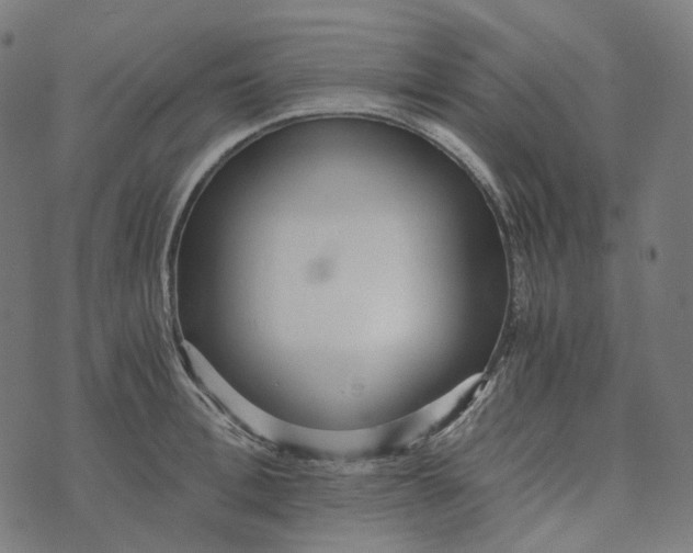 X0000073530996200608211825