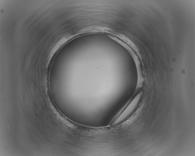 X0000073530997200608211825