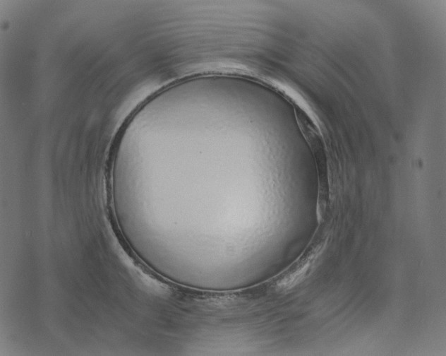 X0000073530999200608211825