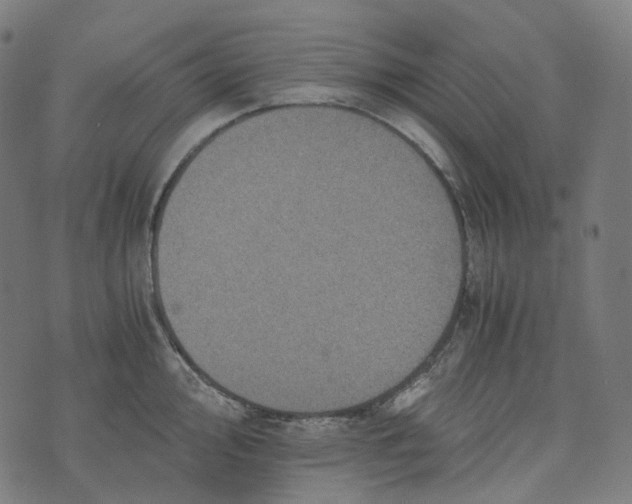 X0000073531000200608211825