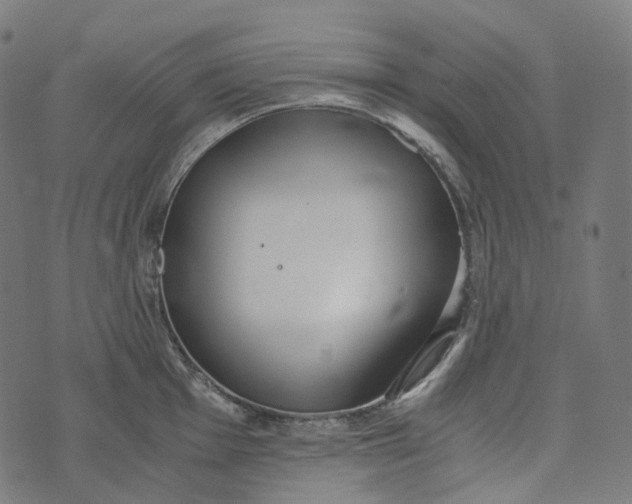 X0000073531001200608211825