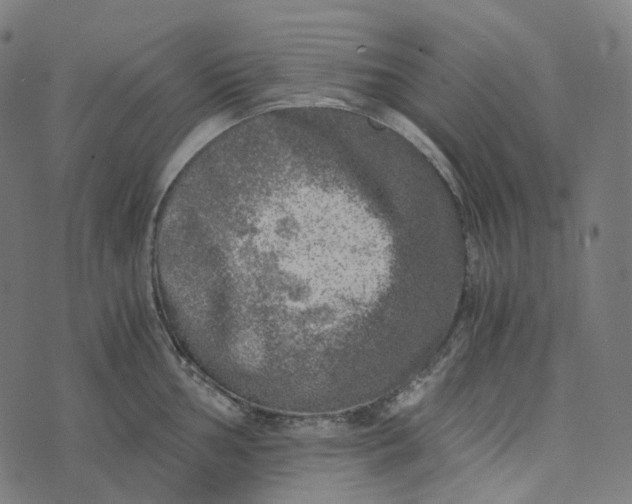 X0000073531002200608211825