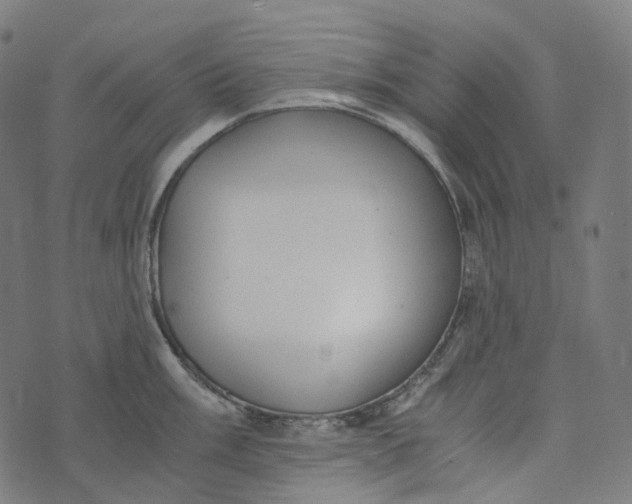 X0000073531003200608211825