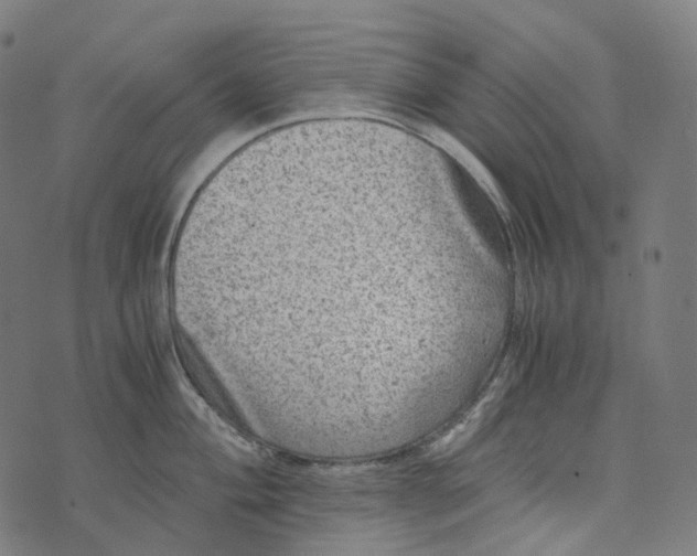 X0000073531004200608211825