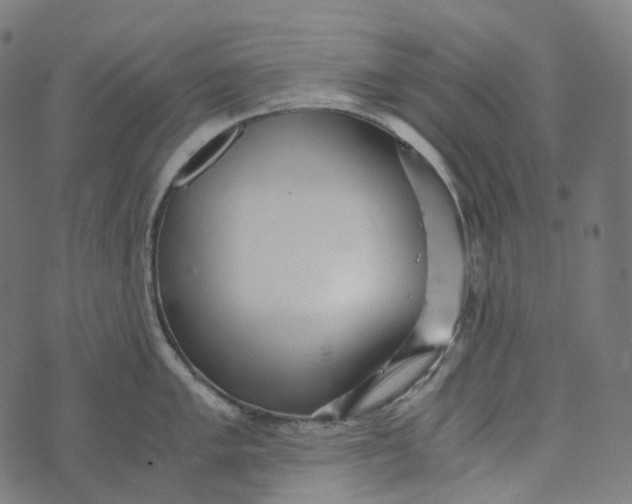 X0000073531005200608211825