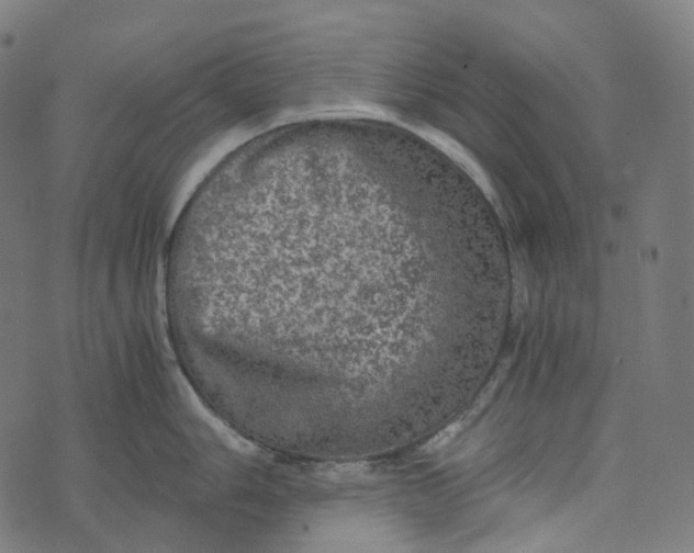 X0000073531006200608211825