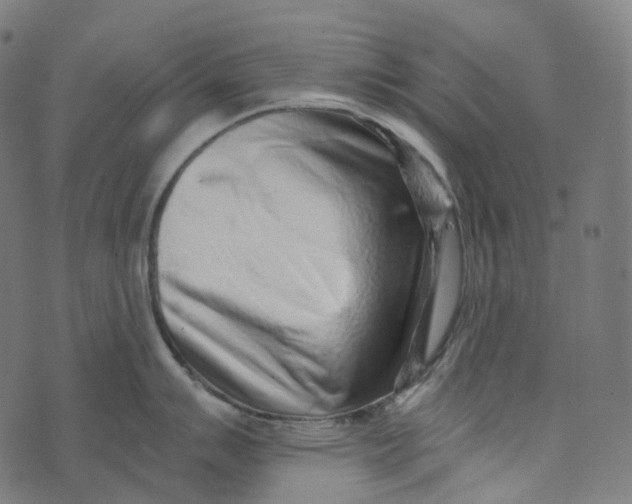 X0000073531007200608211825