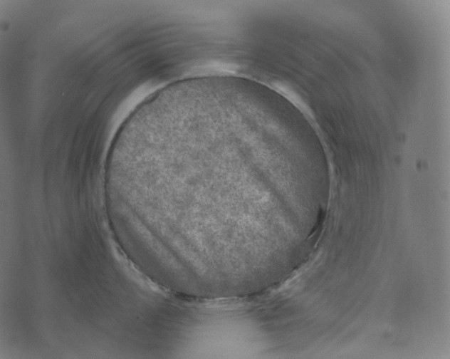 X0000073531008200608211825