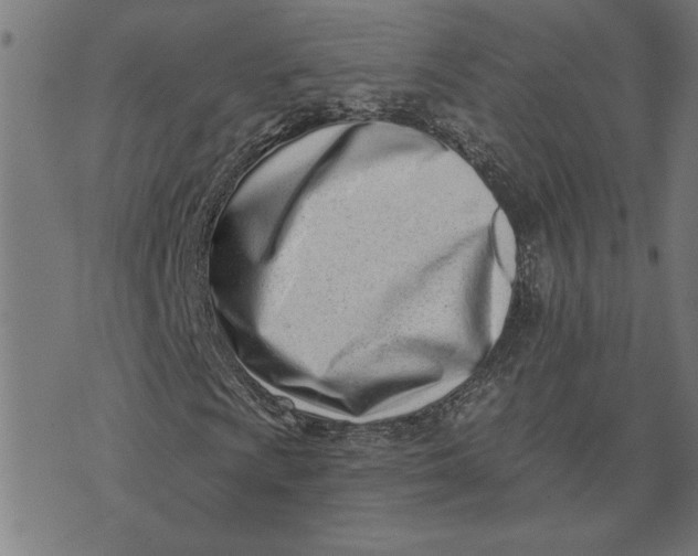 X0000073531009200608211824