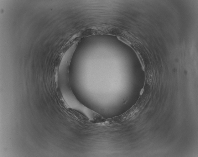 X0000073531010200608211824