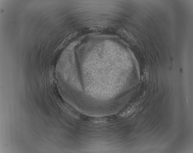 X0000073531012200608211824