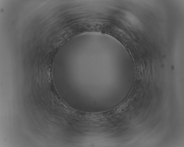 X0000073531013200608211824