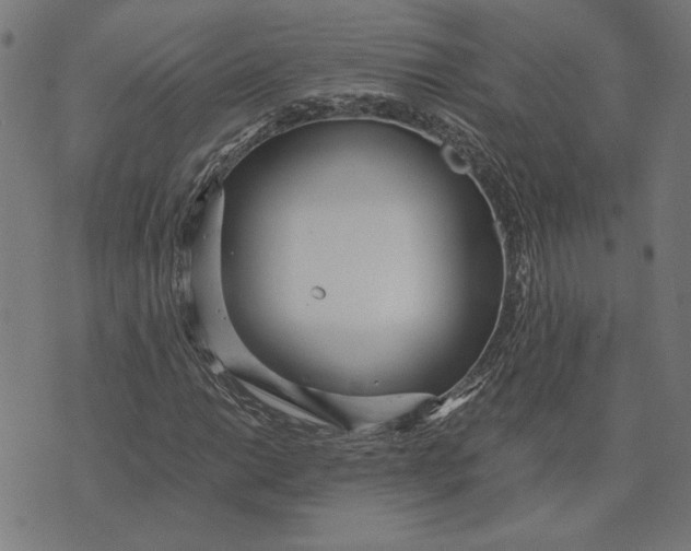 X0000073531014200608211824