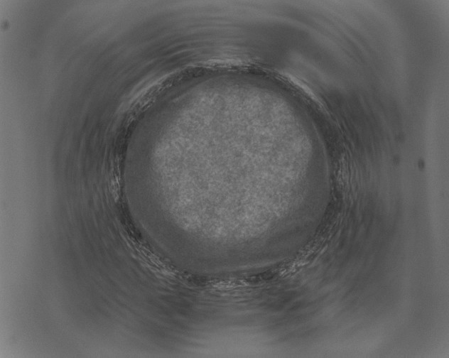 X0000073531015200608211824