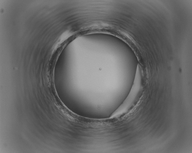 X0000073531018200608211824