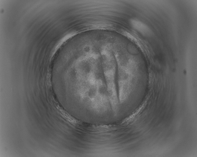 X0000073531019200608211824