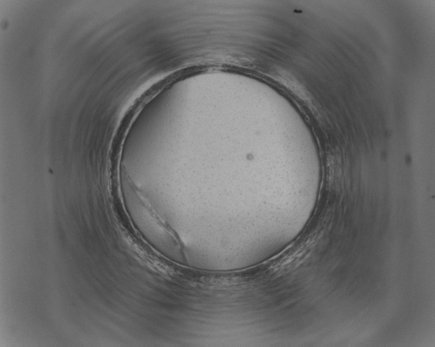 X0000073531020200608211824