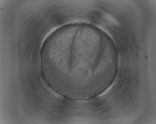 X0000073531021200608211824