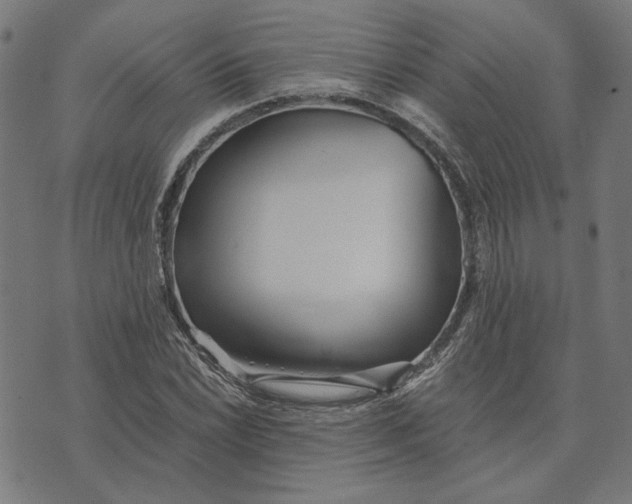 X0000073531022200608211824