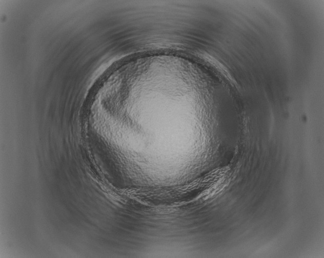 X0000073531023200608211824