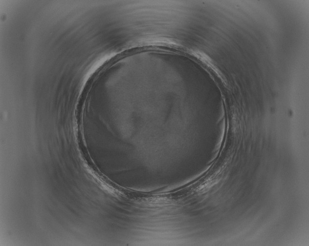 X0000073531024200608211824