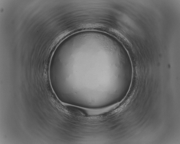 X0000073531025200608211824