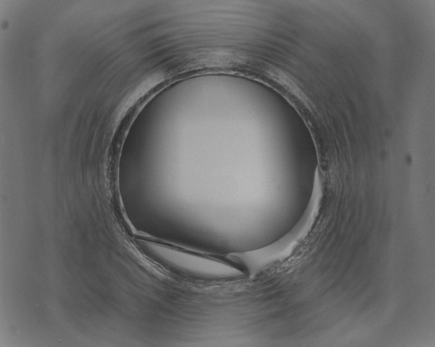 X0000073531026200608211824