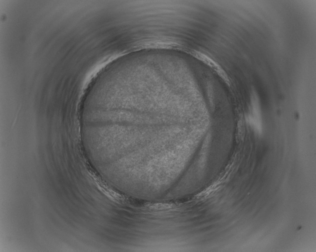 X0000073531027200608211824