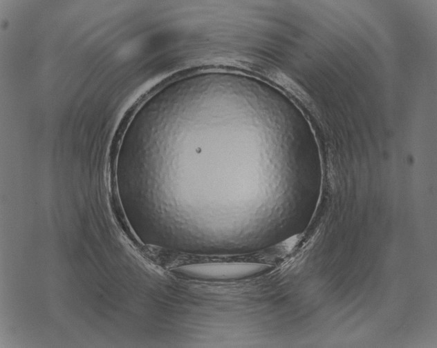 X0000073531028200608211824