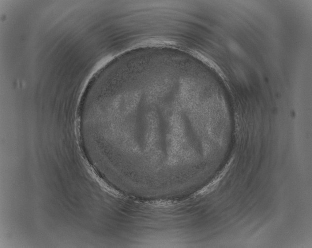 X0000073531029200608211824