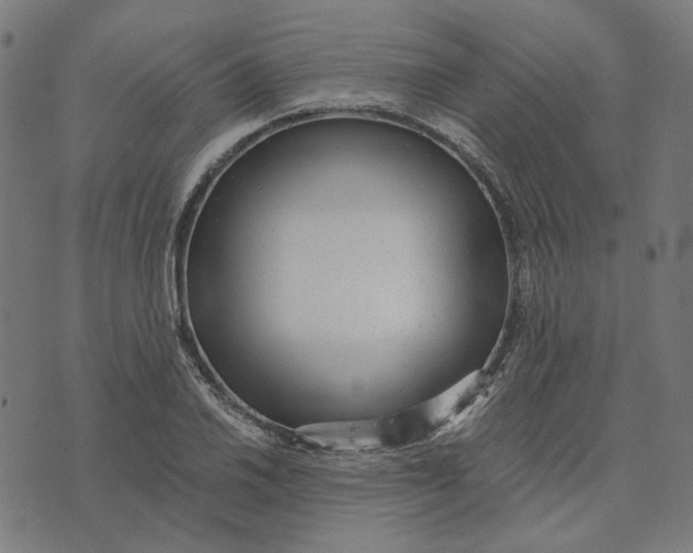 X0000073531030200608211824