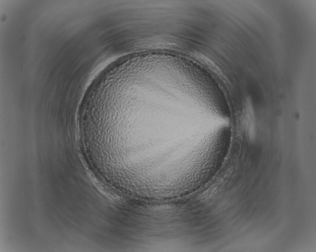 X0000073531031200608211824