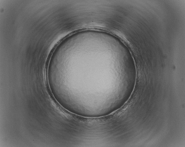 X0000073531032200608211824